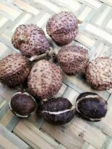 Dragon Spring Sands Benevolent grade Yangchun Spring special production Zhengzong Sharen Xiaohuangmiao dried fruit and dried pot soup steamed meat Yangjiang River