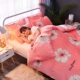 Chăn lông cừu bằng nhung lông cừu sang trọng đơn mảnh 1,8x2.0 m mùa đông sang trọng cộng với chăn đôi 200x230 chăn drap