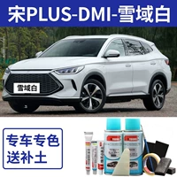 Song Plus-DMI-Snow область белая [простой ремонт]