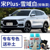 Песня плюс-Snow Domain White [Simple Report]