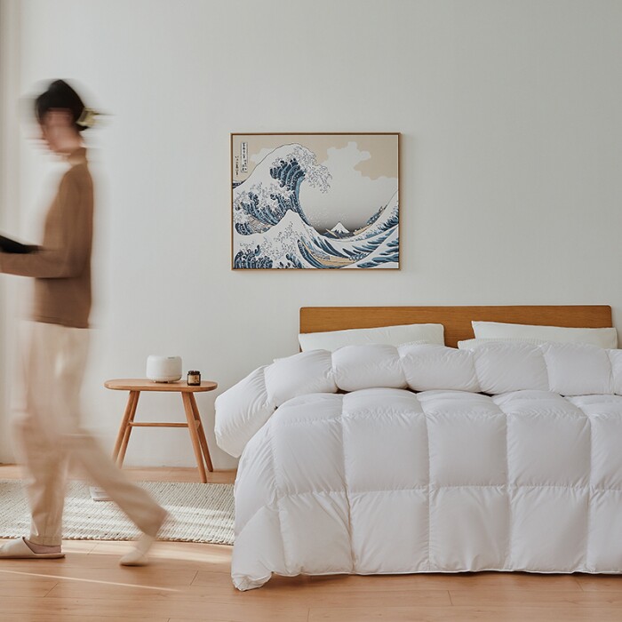 Export Japan's five-star hotel down by 95 White goose down quilted warm thickened winter quilt with double spring and autumn quilt core
