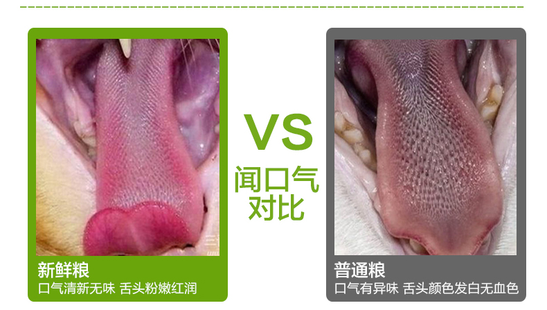 # 5 袋 包 可 莉汀 成 猫粮 散装 1 kg 500g giải độc hệ thống tiết niệu chăm sóc whiskas cho mèo con
