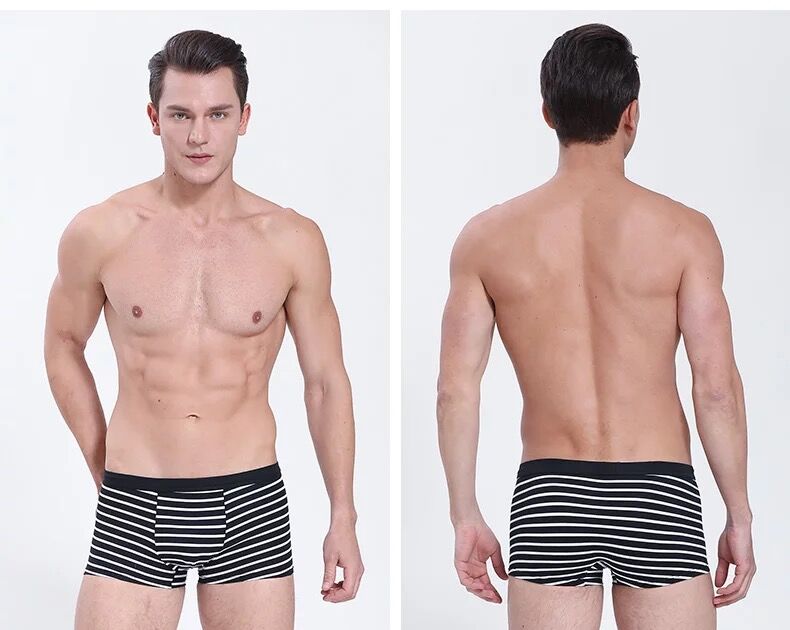 4 tải Nhật Bản sọc nam đồ lót nam boxer cotton thanh niên thoáng khí thoải mái cotton vuông đầu quần lót con voi