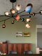 Canadian BOCCI restaurant living room chandelier tea room branch glass ball modern simple creative light luxury