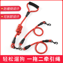 Dog Traction Rope One Drag Two Walk Dog Rope Double Head Two Small Middle Large Dogs Pet Teddy Gold Wool Dog Chain