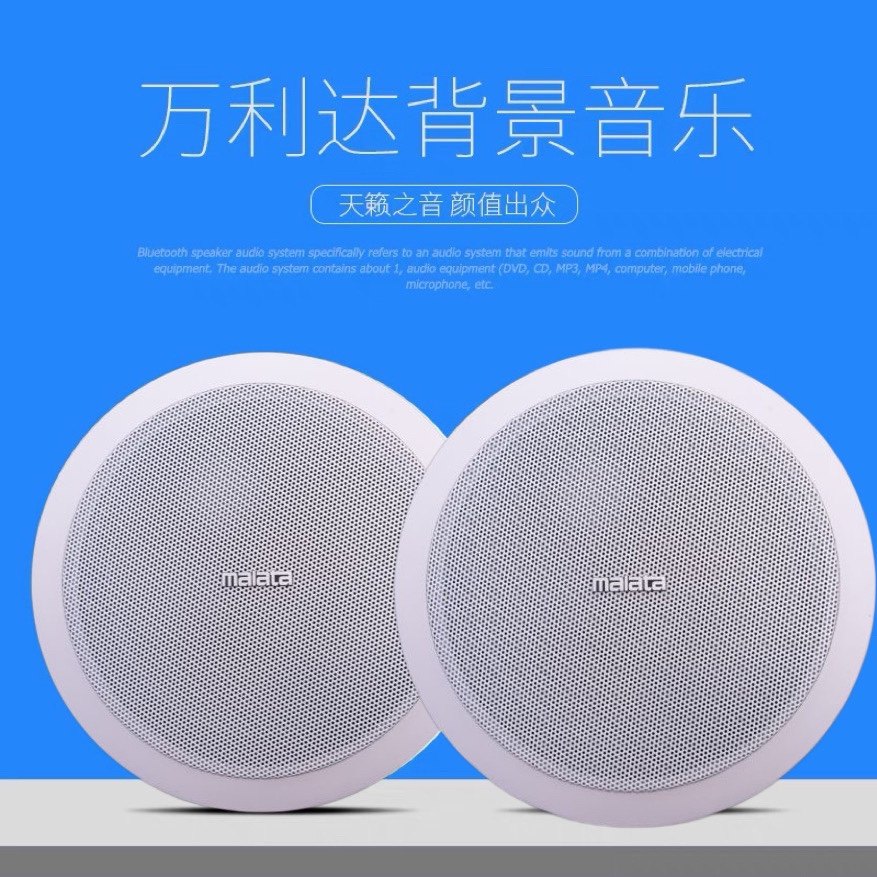 Malata Wanlida suction top trumpeter Suspended Ceiling Speaker Sound Hotel Mall background Music Embedded