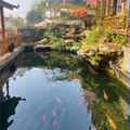 伍迪劳保