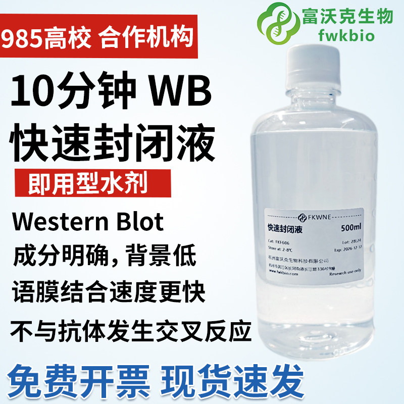 10分钟快速WB封闭液 即用型WB快速封闭  低背景兼容 方便快速跑胶