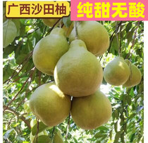 Guangxi Guilin Sha tin Grapefruit Свадебная кровать Etiquette Garage для Своеобразного Запаха Эксклюзивного Свежего Фрукта Нон-Мицхоу