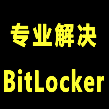 Computer Hard Drive USB Flash Drive Bitlocker Recovery Interruption Pause File Data Blue Screen Data Recovery Data Key