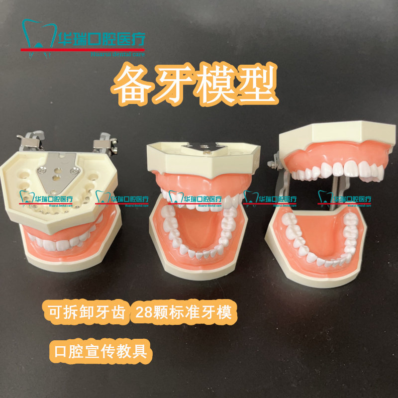 牙科模具医生练习考试树脂牙口腔器械种植离体牙可拆卸备牙模型
