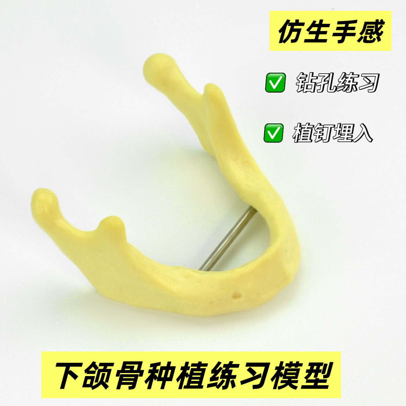 下巴骨口腔耗材骨科模型仿生下颌种植练习仿真下颔骨教学示教练习