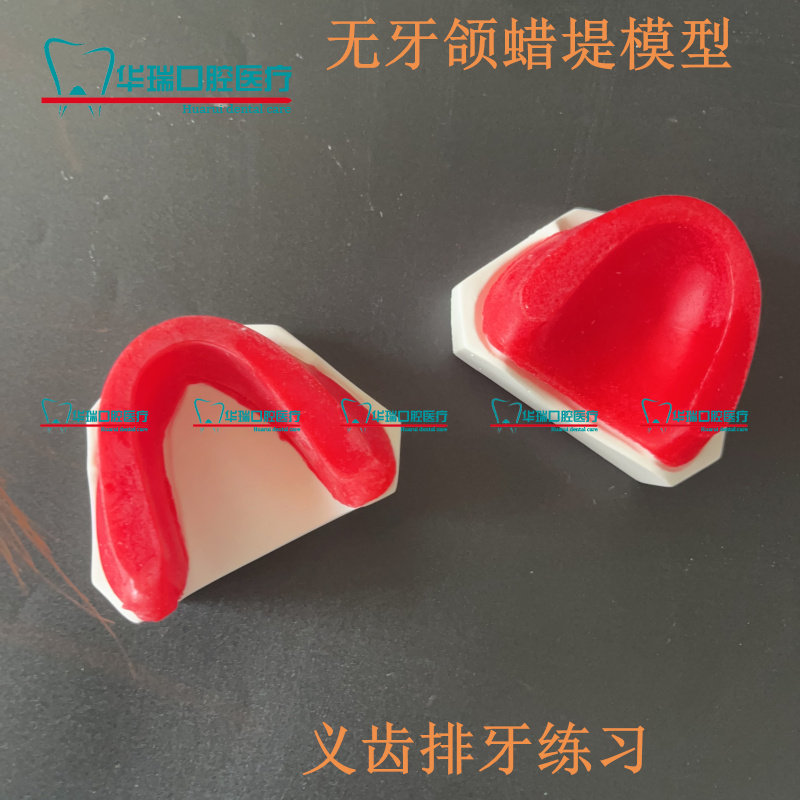 牙科模型无牙颌蜡堤石膏人工练习排牙义齿基托无牙颌石膏底座包邮