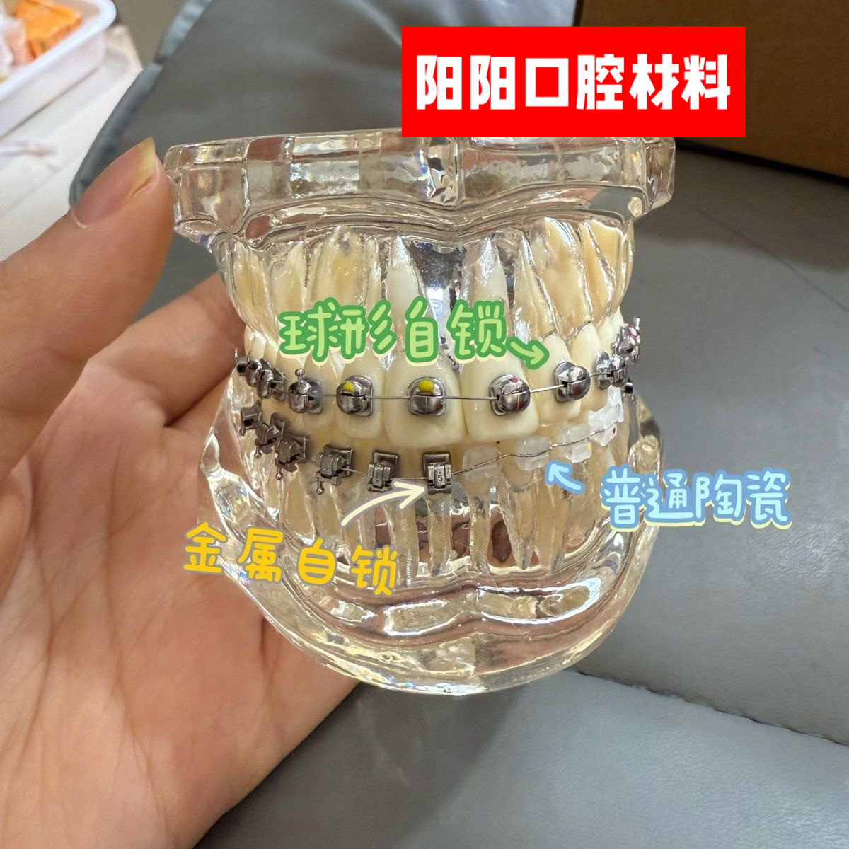 牙科口腔三合一托槽对比模型 正畸陶瓷球形金属自锁托槽展示模型