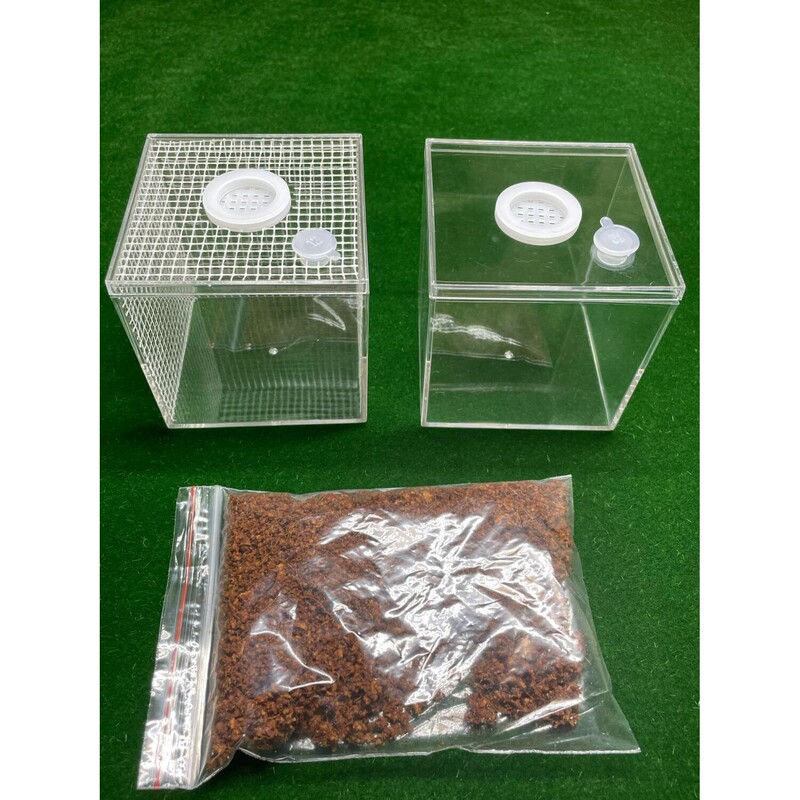 New High-Transparency Desktop Spider Breeding Box, Cricket Jar, Grasshopper Cage, Mantis, Snail, Hermit Crab, Insect Landscaping Box New High-Transparency Desktop Spider Breeding Box, Cricket Jar, Grasshopper Cage, Mantis, Snail, Hermit Crab, Insect Landscaping Box