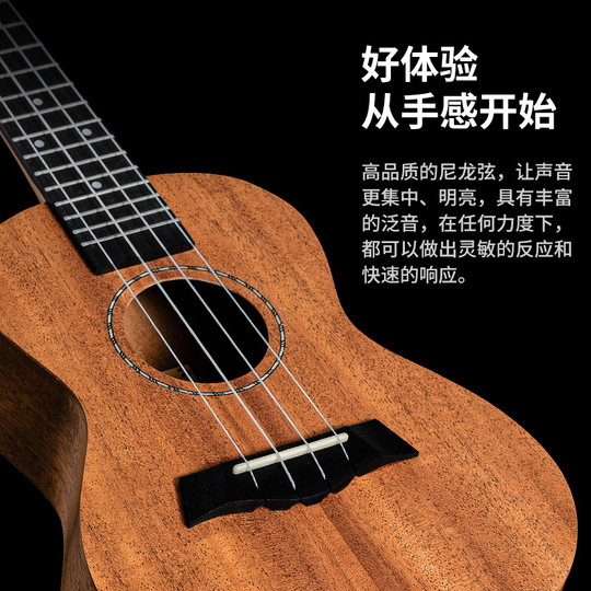 Ukulélé 23 pouces petite guitare pour enfants adulte débutant niveau d'entrée avancé fille ukulélé mâle