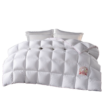 Boyang 120-count cotton Siberian imported down quilt Class A childrens 95 white goose down spring and autumn quilt thickened winter quilt