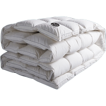 Boyang Home Textiles 120 count goose down quilt household Hungarian 95 white goose down warm quilt core winter thickened cotton quilt
