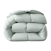 Boyang Home Textiles down quilt imported from Hungary 95% white goose down winter quilt thickened warm goose down quilt