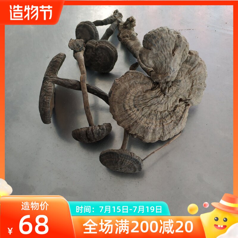 Wrinkled cover fake Zhi Wild Ganoderma lucidum Blood Ganoderma lucidum with handle One pound of wild natural premium whole blood Zhi