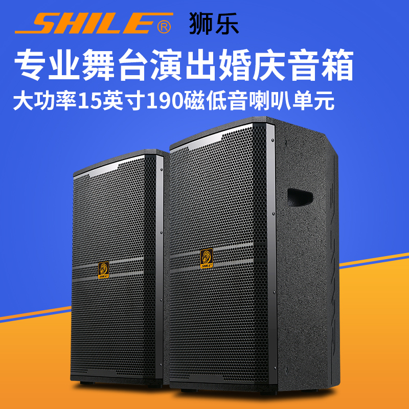 Lion Music BM-15 Wooden Spray Paint Speaker 15 Inch Song Hall Stage Performance Wedding Celebration Chair Conference High Power Sound