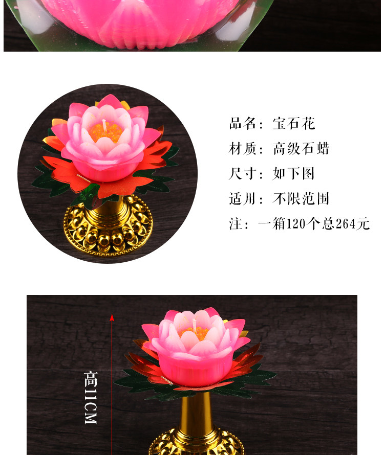Bougie      - Ref 2488741 Image 13