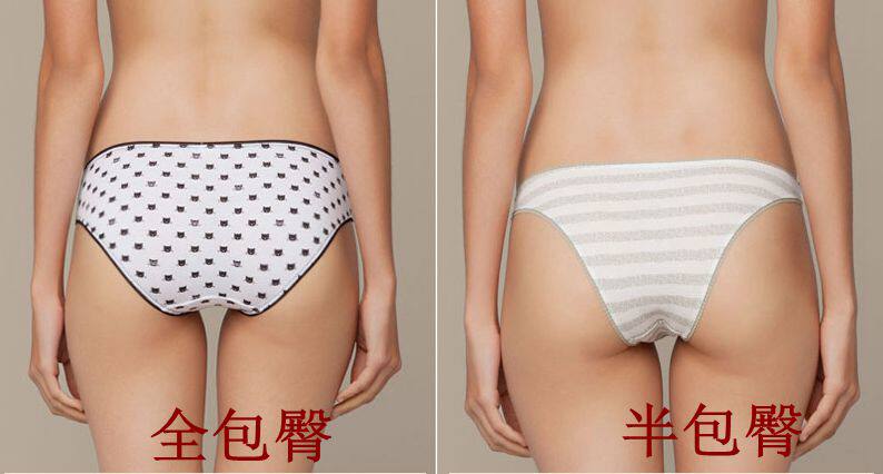 Slip en coton - Ref 642392 Image 7