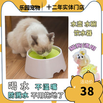 Dog not wet beard dog bowl not wet mouth water bowl Pet Drink Water Splash Cat dog Drink dog water basin