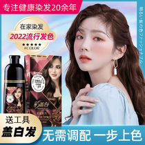 Colour Cover White Hair Dye Plant No Ammonia Bubble Shampoo WHITE HAIR ONE WASH Color Shampoo Product Manufacturer Wholesale