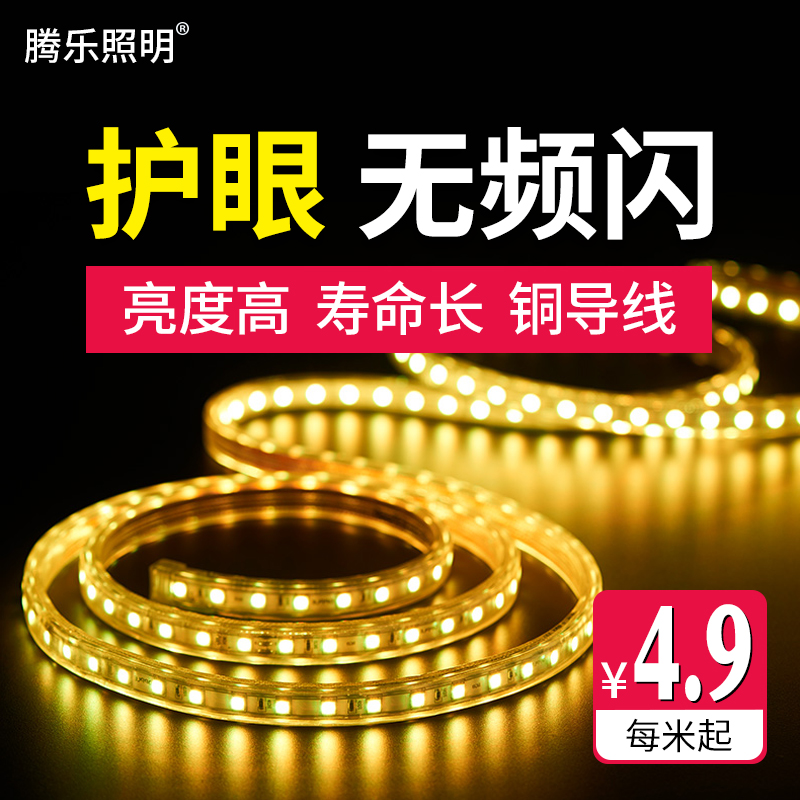 No stroboscopic LED light strip three-color dimming household 220v waterproof outdoor soft light strip living room super bright live room