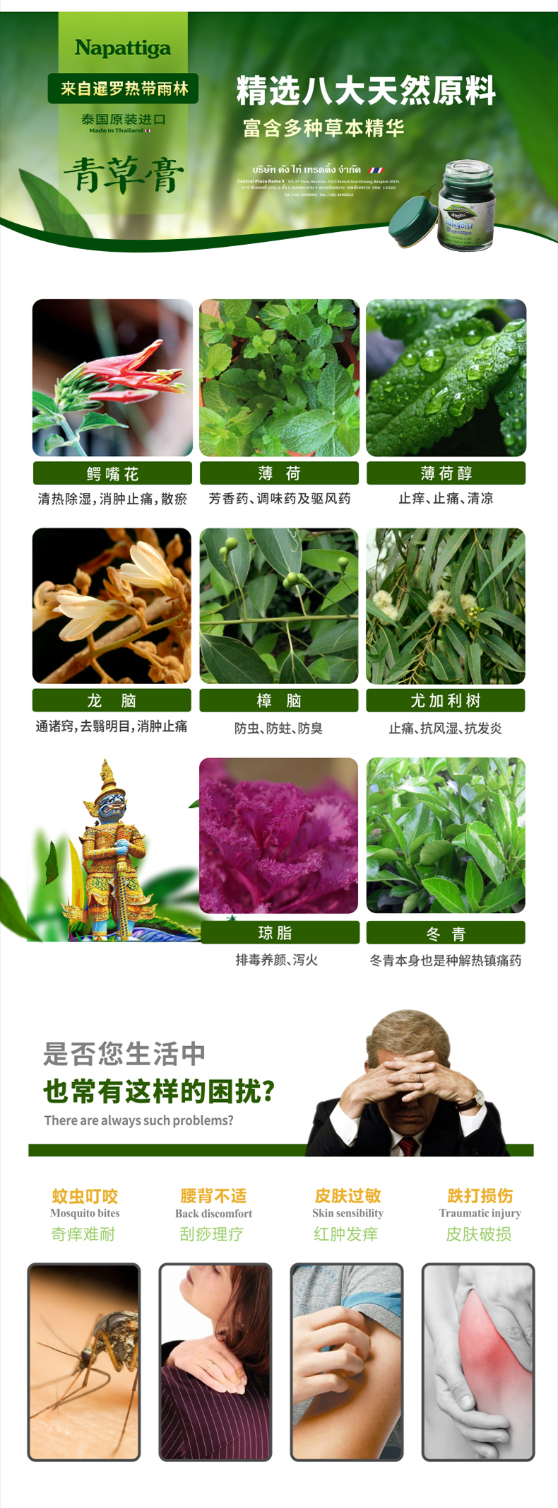 napattiga 泰国青草药膏 50g*3+15g 图2