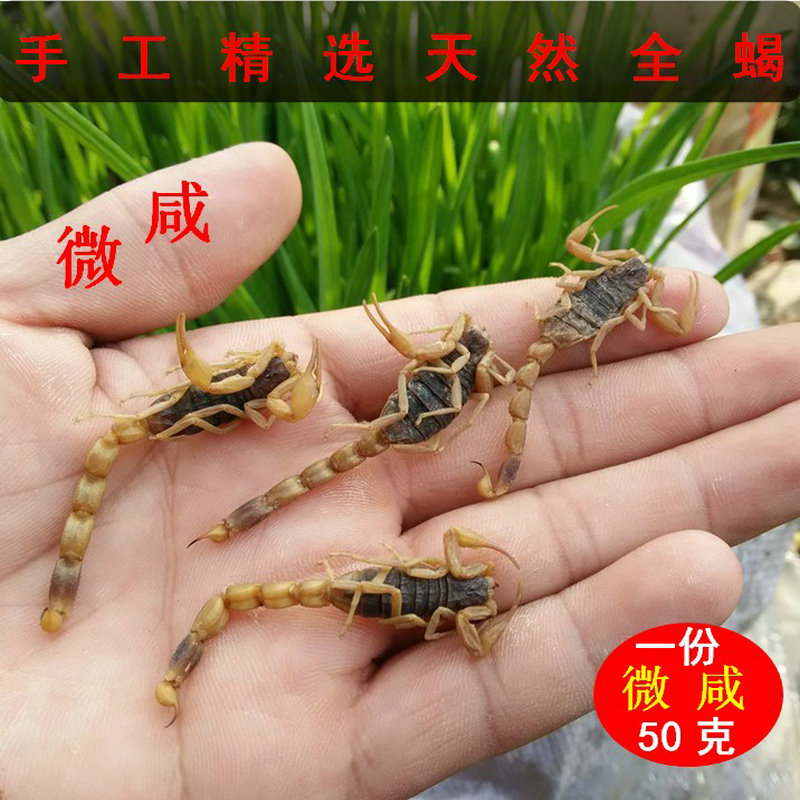 Scorpion Dry Chinese Dry Medicine Pure Wild Growth Salt Water All Scorpions Medicine Scorpion Tongya Clippers Wine