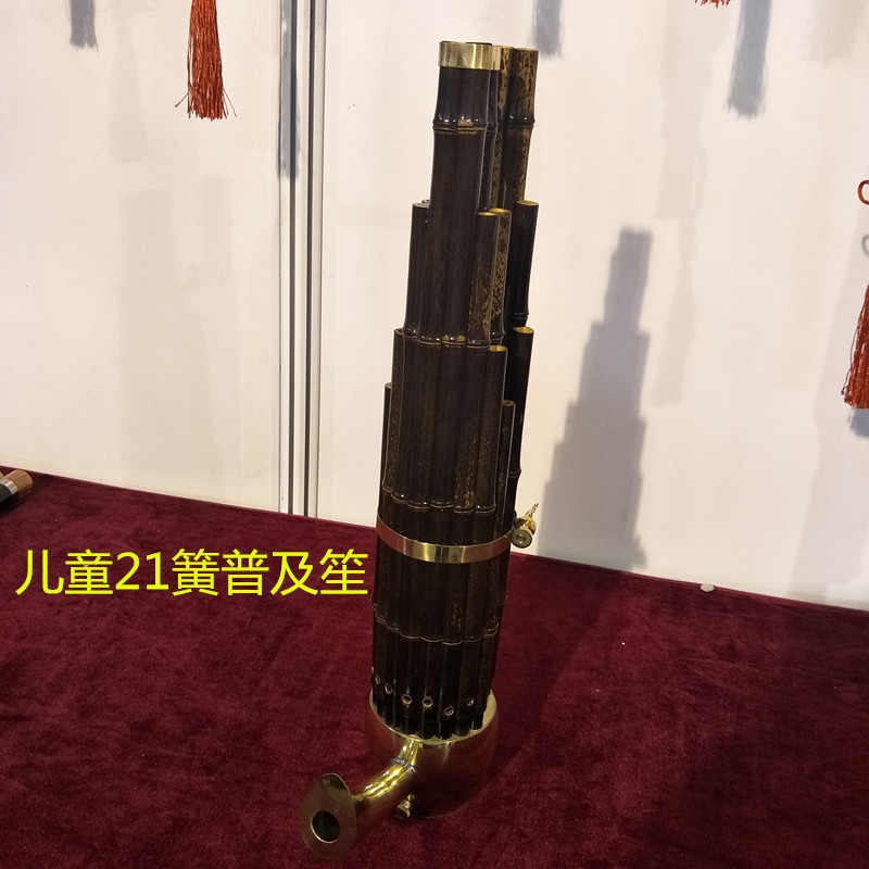 Nhạc cụ cửa hàng nhạc cụ thổi quốc gia 21 24 26 36 lò xo cộng với vòng khuếch đại phím 笙 trẻ em 笙 nhà máy thẳng - Nhạc cụ dân tộc đàn nguyệt cầm