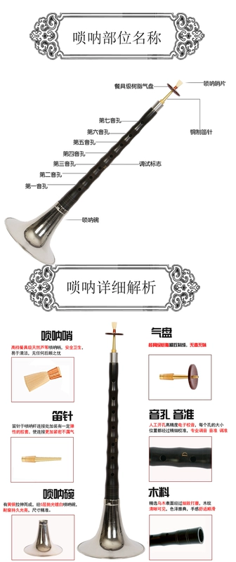 Yanjing Ebony Mahogany Suona Nhạc cụ cho người mới bắt đầu Big G Drop B Tăng C D E e Nhỏ G F Chuyển Hộp sậy Phụ kiện - Phụ kiện chăm sóc mắt