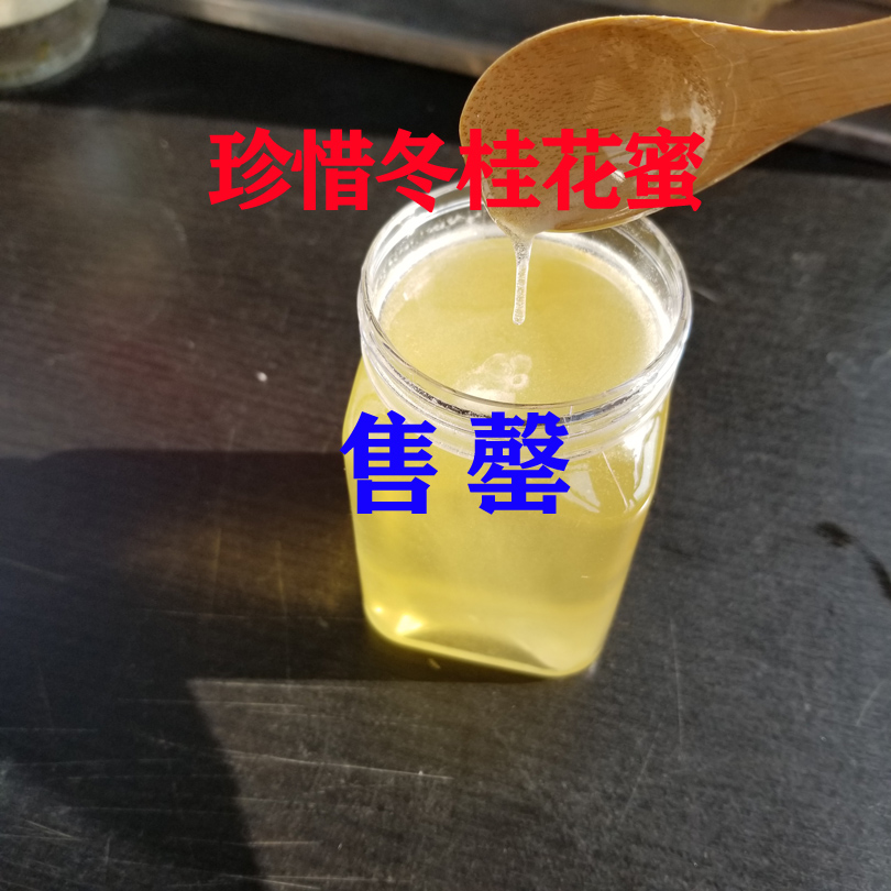 Chinese soil bee mining wild osmanthus osmanthus osmanthus winter honey cherishes the precious little honey species earth honey precious