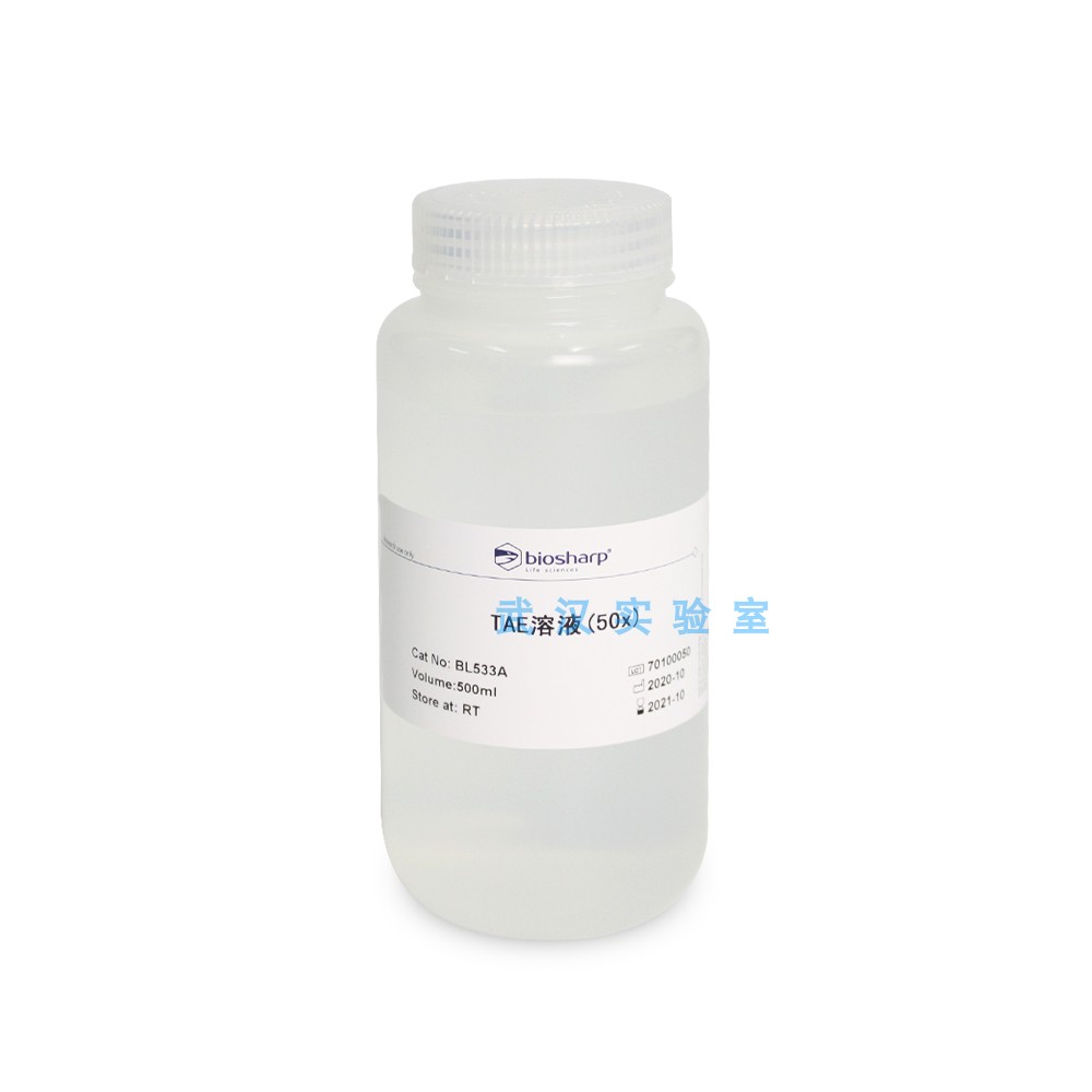 TAE(50X)缓冲溶液 DNA RNA电泳缓冲液 BL533A 500ml Biosharp