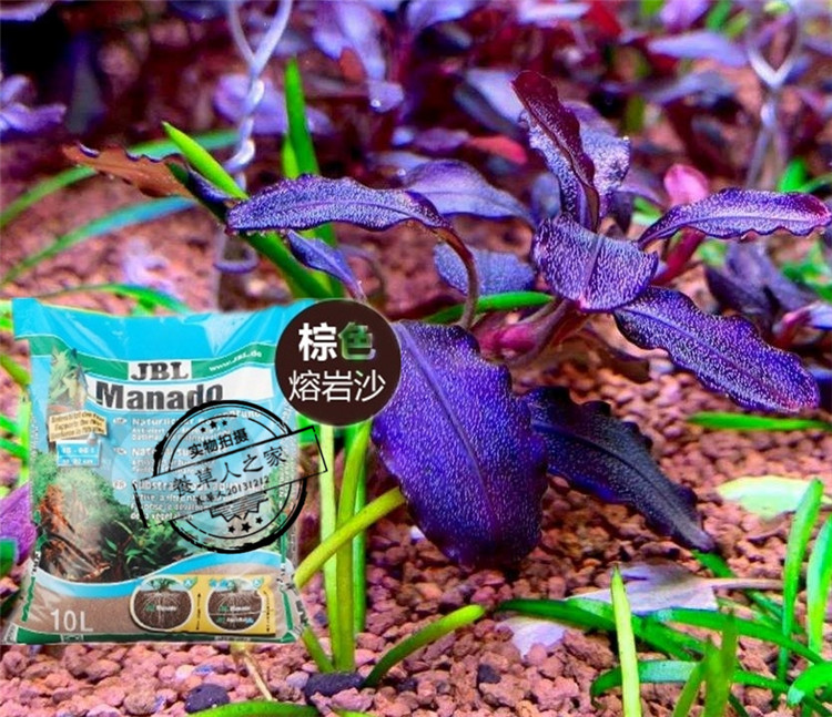 德國珍寶jbl蘇砂熔巖沙辣椒榕草缸觀賞螺水晶蝦開缸底泥熔巖