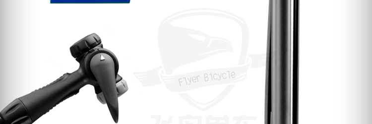 Pompe à vélo GIYO - Ref 2388952 Image 42