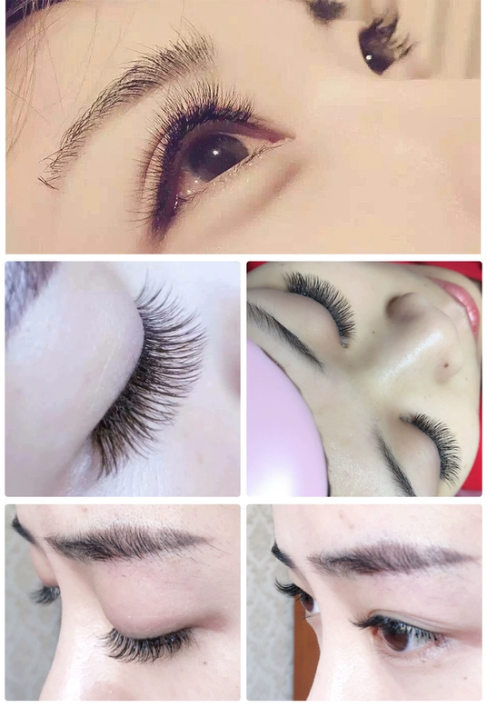 Công cụ ghép lông mi đẹp Bộ lông mi Ba người mới bắt đầu Mane Hair Ghép lông mi Lông mi Lông mi giả