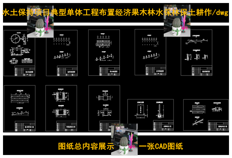 Typical Single-Project Layout for Soil and Water Conservation Projects: Economic Fruit Tree Orchards, Water and Soil Conservation, and Land Cultivation Cad Drawings
