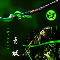 Polar old demon Green demon round leather rubber band slingshot 16362040 imported violent rackless traditional projectile 1842
