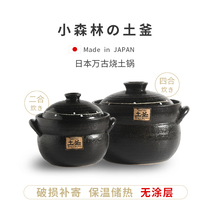 Japan imported Wangu Earth-burning kettle casserole double-layer cover small forest household soup stone pot gas stew pot
