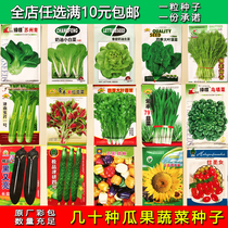 Vegetable seeds Four Seasons Easy-to-plant Chinese cabbage coriander leek lettuce lettuce winter easy garden flower rapeseed