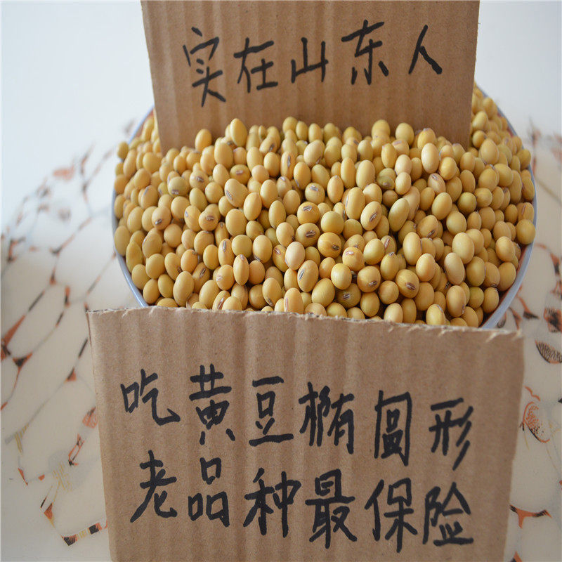 Shandong farmers self-grow non-GMO soybeans stupid soybeans 5 kg oval soybean kidney-shaped soil soybean beaten soy milk