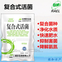 Aquaculture dedicated concentrated Bacillus subtilis photosynthetic bacteria powerful EM original dew composite live bacteria