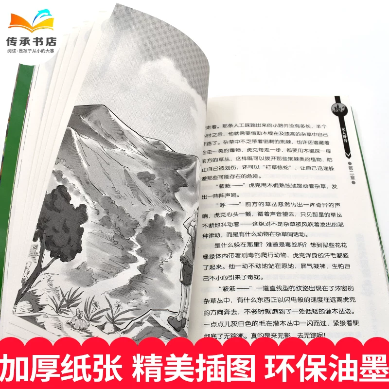 Чтение для мальчиков-учащихся, полный комплект, для подростков, учебный материал, наука, 9-10-12-15 лет, начальная и средняя школа