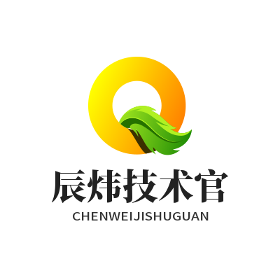 辰炜技术官