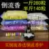 Tinh dầu thiên nhiên cao cấp hương nhang nón nhang trầm hương gỗ đàn hương trong nhà hương liệu Ấn Độ dòng hương oải hương - Sản phẩm hương liệu