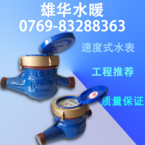 Water meter Gangcheng rotary-wing cold water meter dry water meter dripping water meter hot water meter 4 points DN15