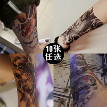 10 carp tattoo stickers waterproof men and women Korean long-lasting flower arm Net red tide cool simulation leg tattoo sticker